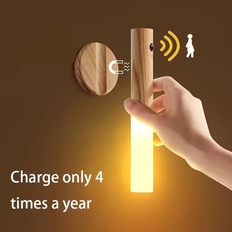 Motion Sensor Night Lights 2 - Pack - Rechargeable RGB LED with Charging Base & Auto Detection - SkyWaves
